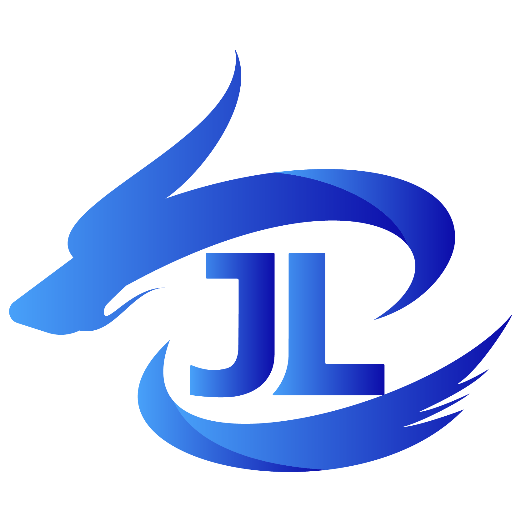 江龙跨境电商LOGO